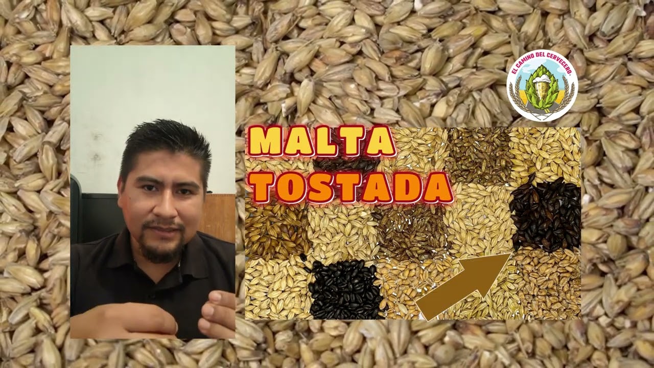 LAS MALTAS EN LA PRODUCCION DE CERVEZA