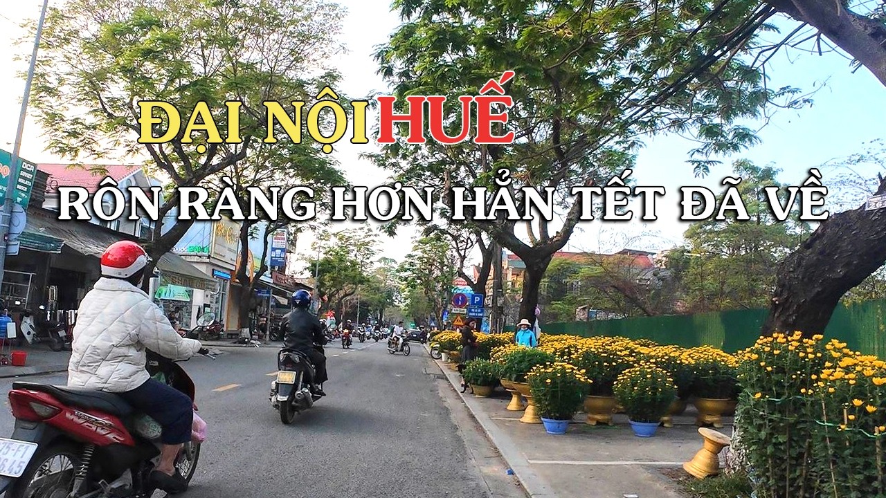 Đường xá Nội Thành Huế Rộn ràng không khi tết hẳn vì Hoa đã về