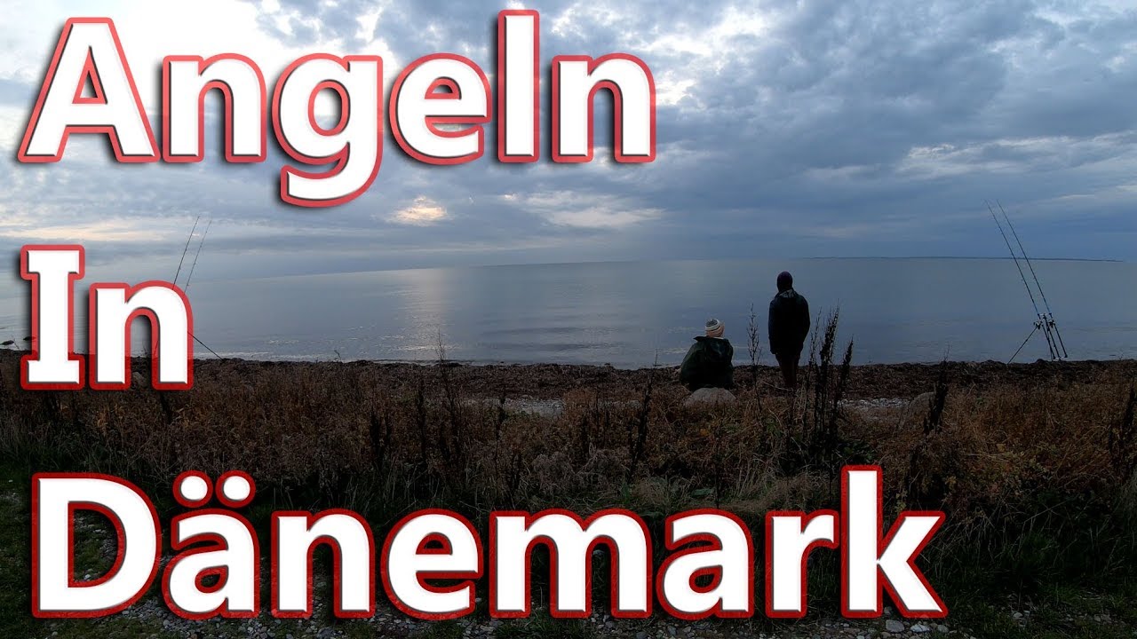 Angeln in Dänemark - Brandung, Platte und SeeSkorpione