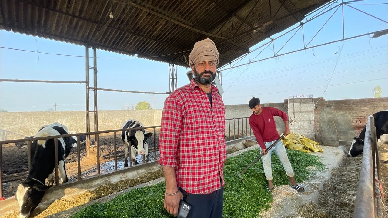 ਨਵੀਂ ਜਾਣਕਾਰੀ ਦਿੱਤੀ ਗਰਮੀਆਂ ਲਈ।@Milkywayfarm255 
