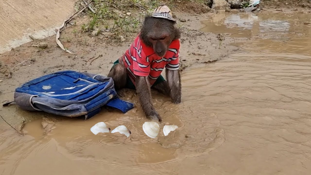 Abu skipped school to wade through the mud to catch mussels