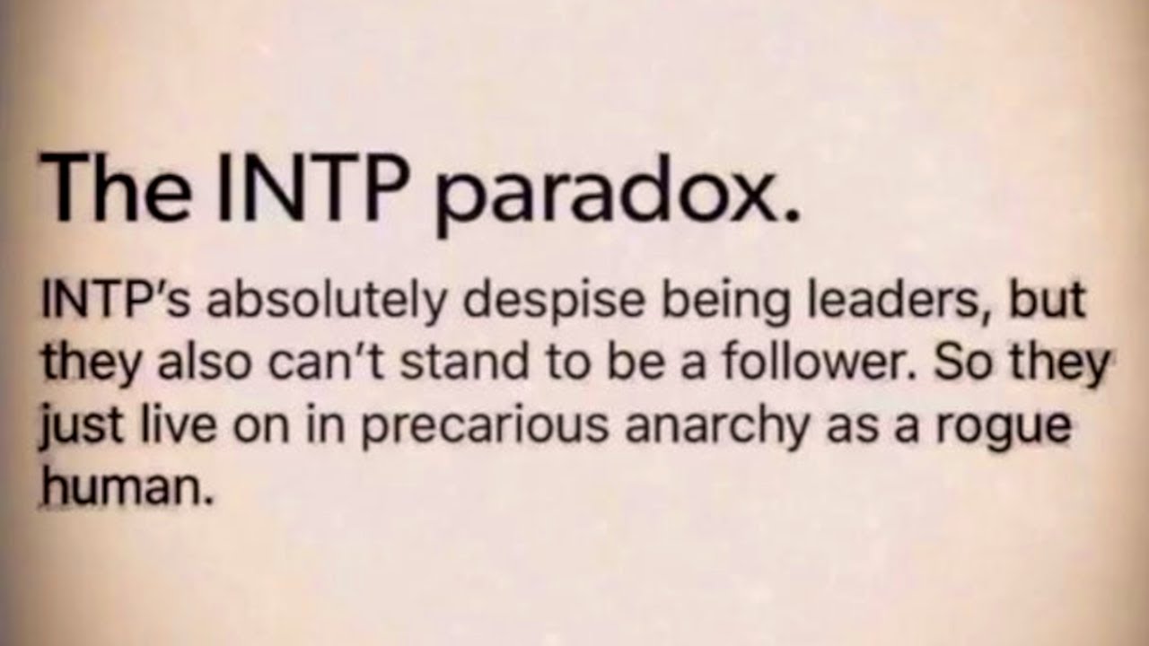 Best INTP memes of 2020 (part 2)