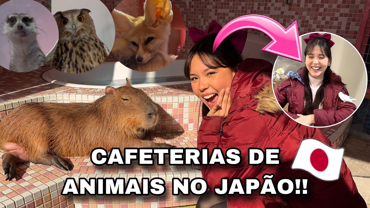 FUI EM CAFETERIAS DE ANIMAIS AQUI NO JAPÃO!! *tinha até uma raposa!!*