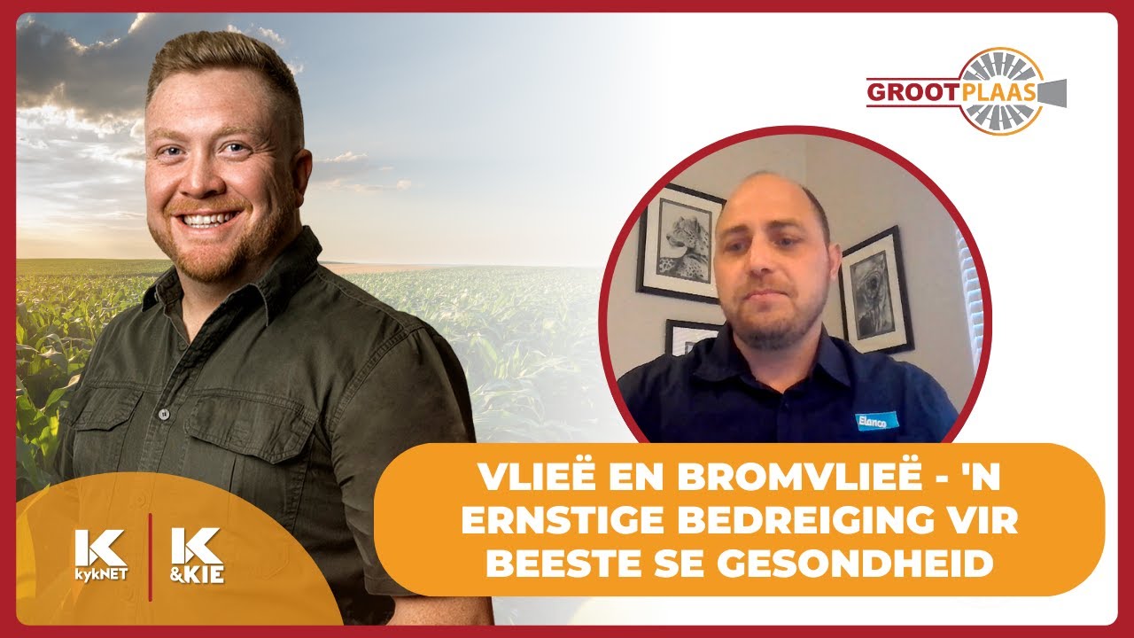 Dr. Louis Boag van Elanco SA oor vlieë & bromvlieë - 'n gesondheidsbedreiging vir beeste | 13 Jan 26