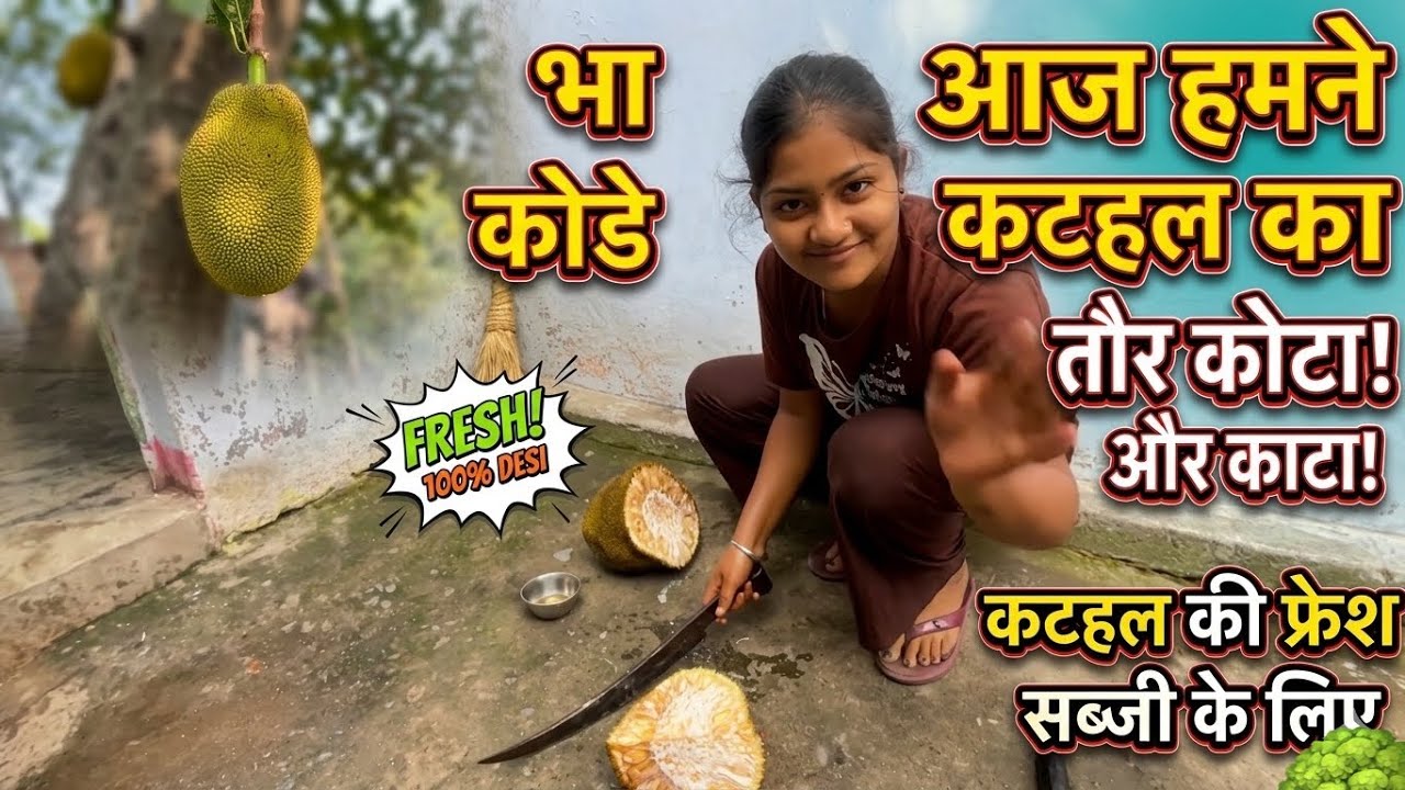 Sujata Lalli Ne Toda Itna Bada Kathal! 😱 | घर की ताज़ा सब्ज़ी 🌳