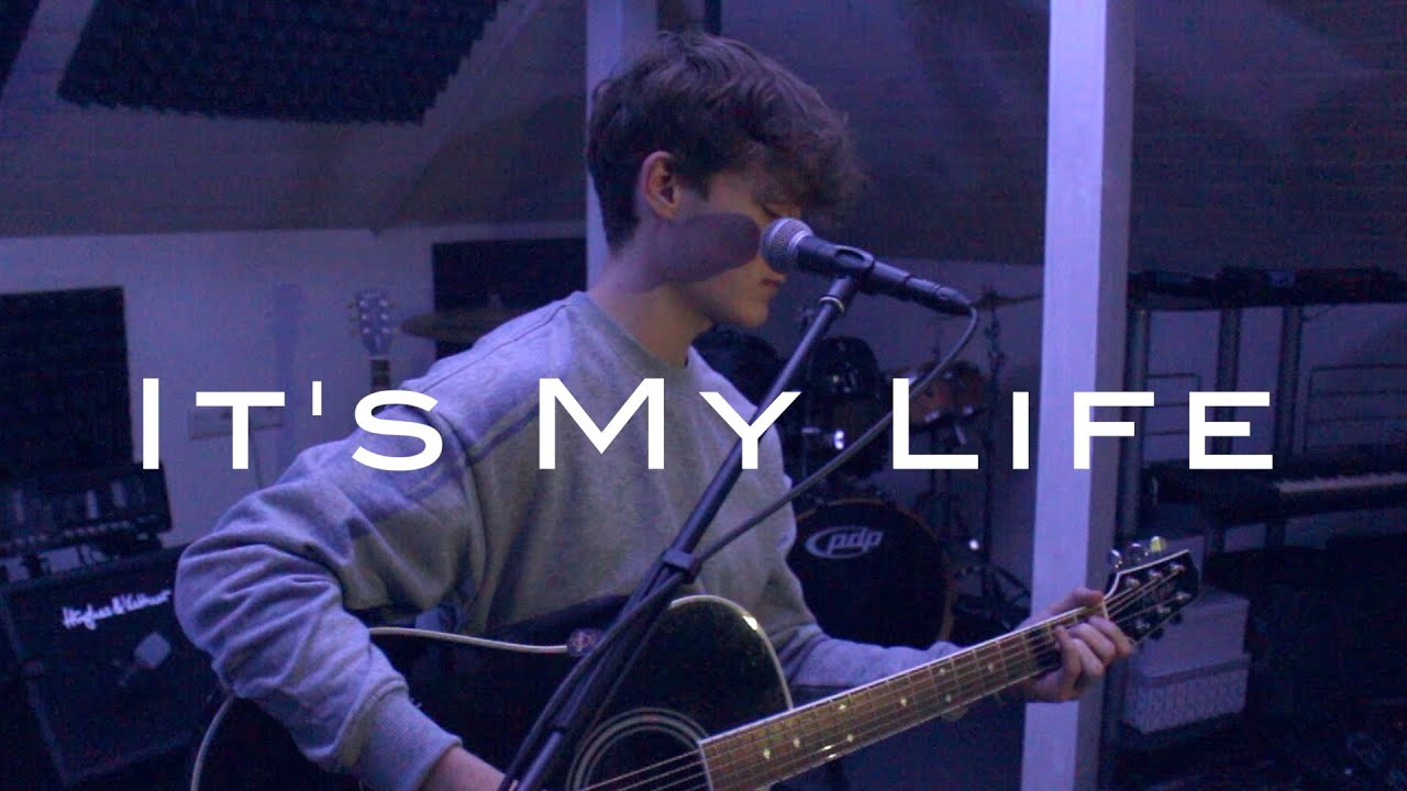 It's My Life - Bon Jovi Cover by Marco Kappel