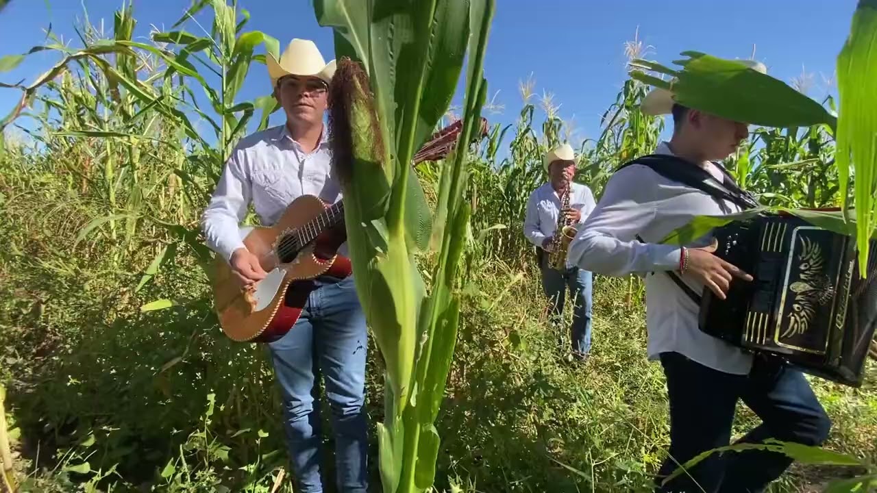 Cruz Negra Los Imureños 🎷🪗
