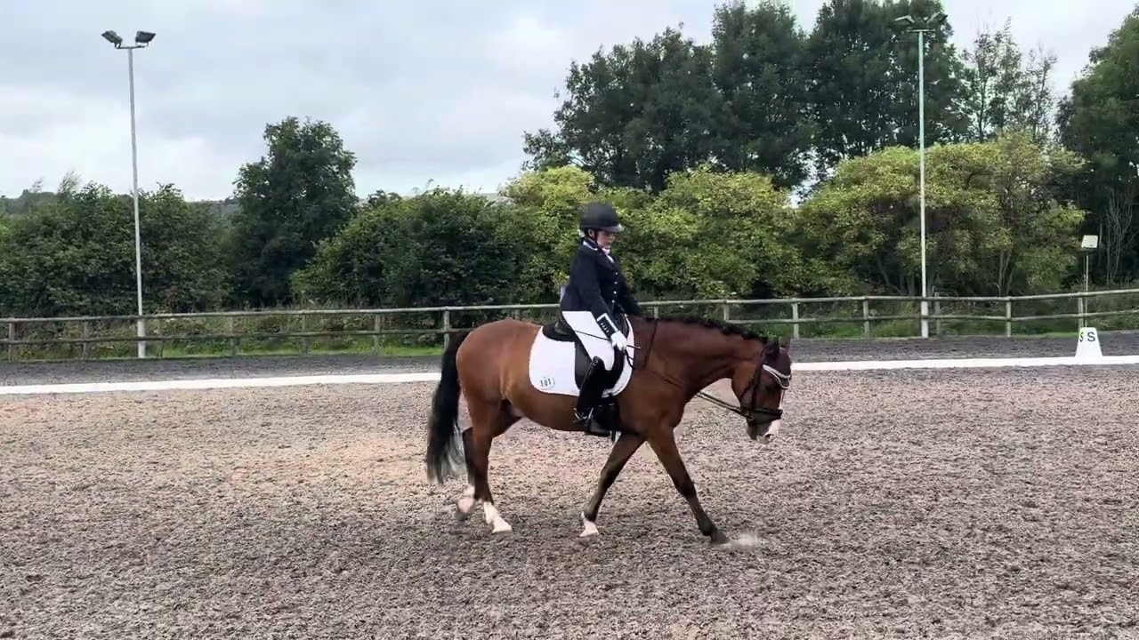 Novice 6 dressage test 2024 (called)