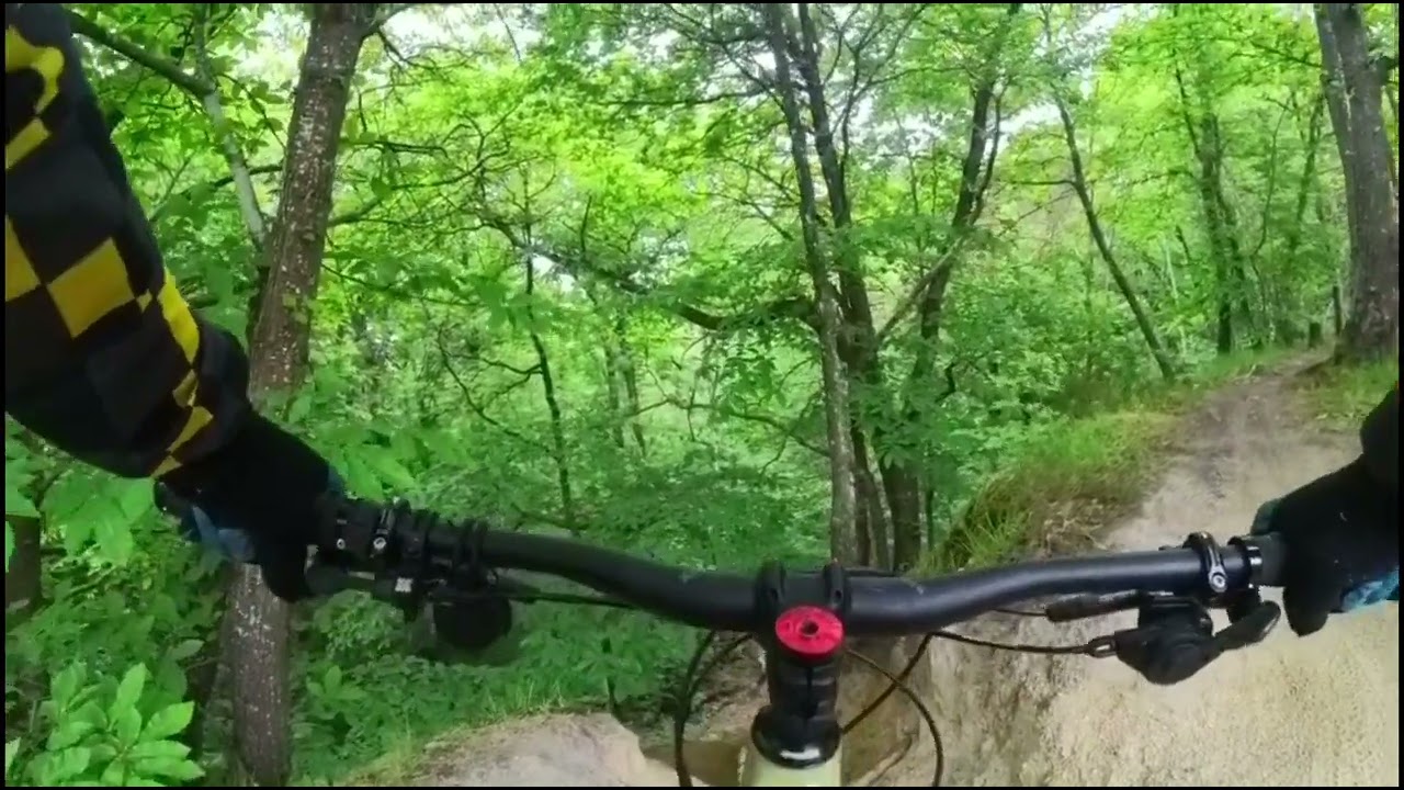 Vtt enduro à Berru