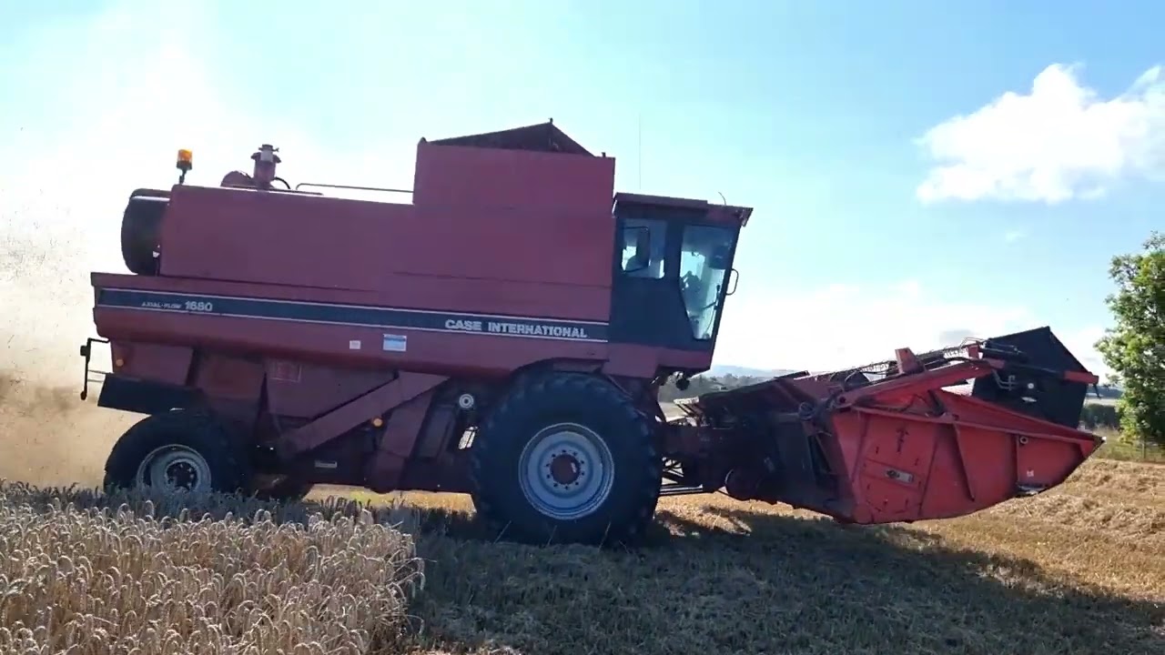 Case 1680, Cummins, agopengps