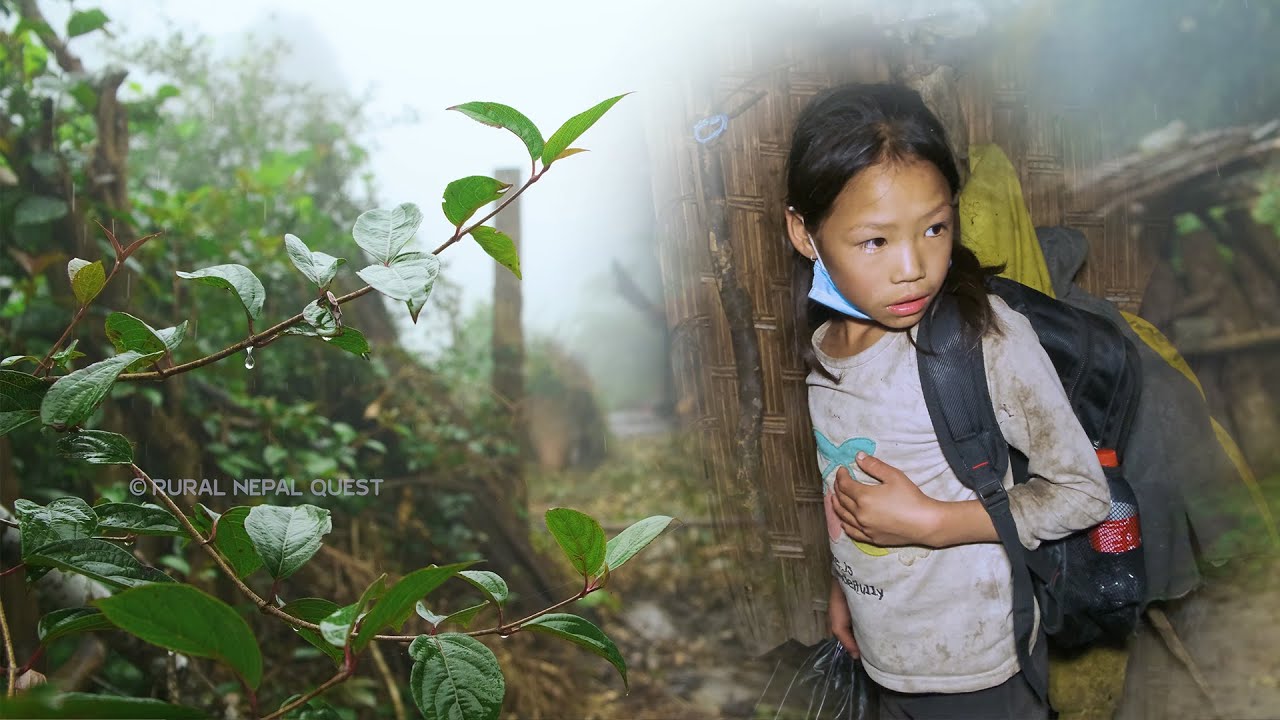 Family In The Jungle || Season - 2 || Video - 68 || Natural Rural Nepal ||