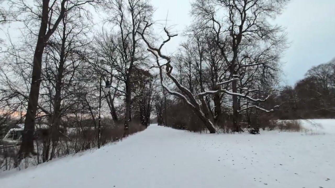 Frozen Treptower Park in Snow ❄️ | Winter Walk by the Lake | Berlin 2026