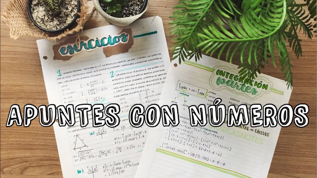 APUNTES BONITOS MATEMÁTICAS Y FÍSICA / karlasnotes