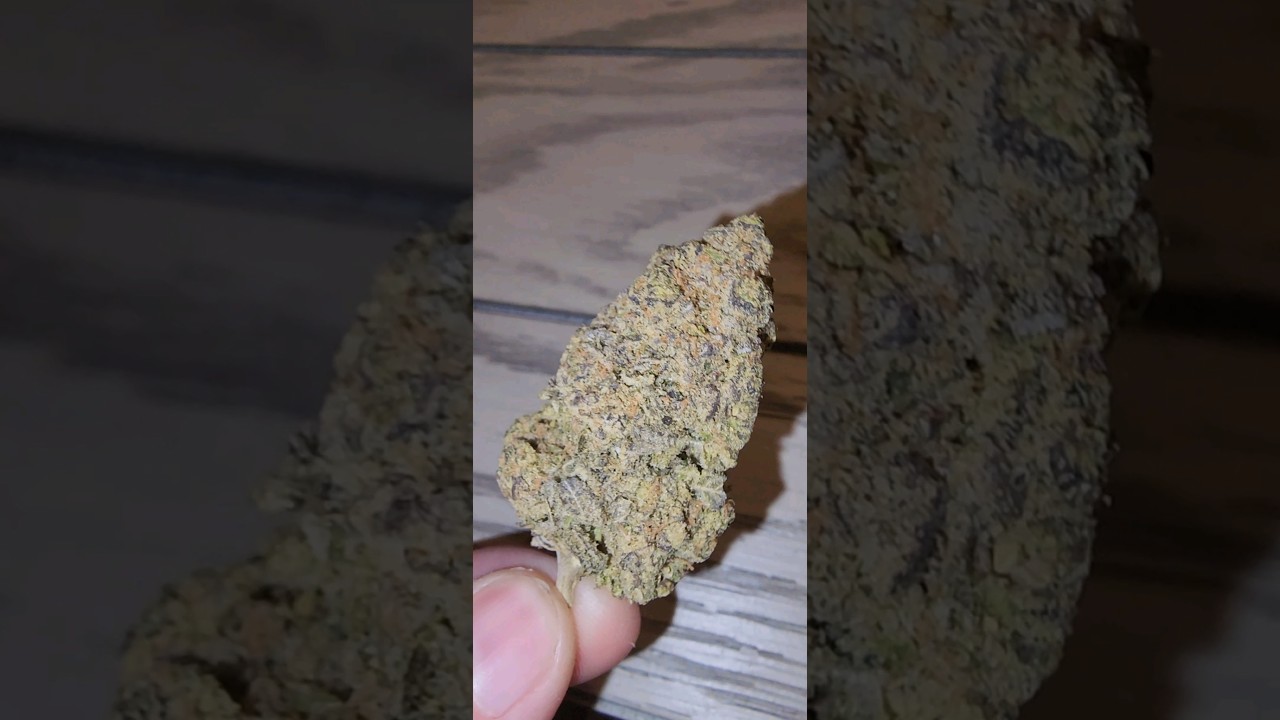 Chemdawg Strain #shorts
