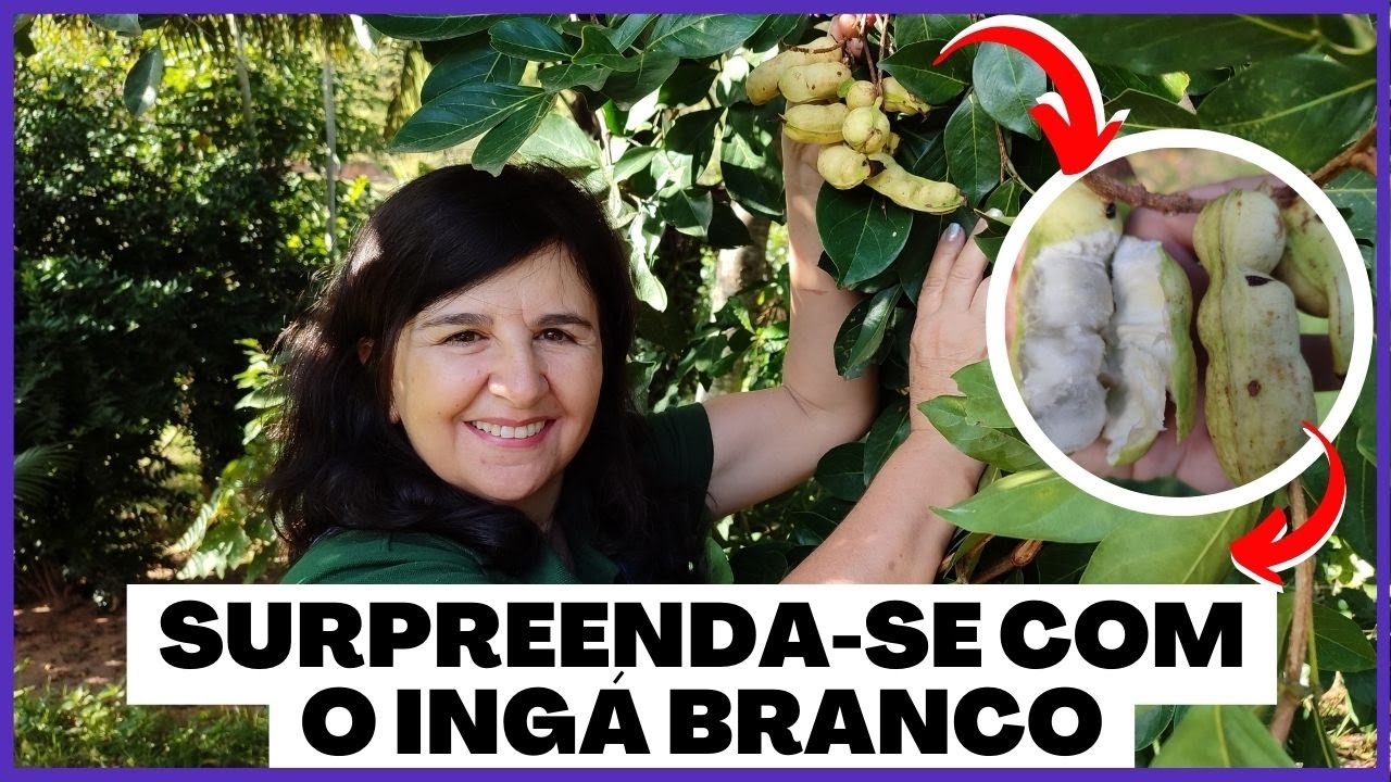 INGA BRANCO: você PRECISA conhecer essa Fruta!