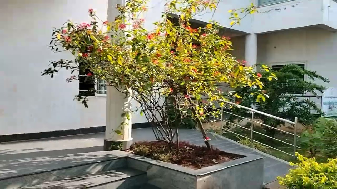 HEAL Paradise School Leadership Training