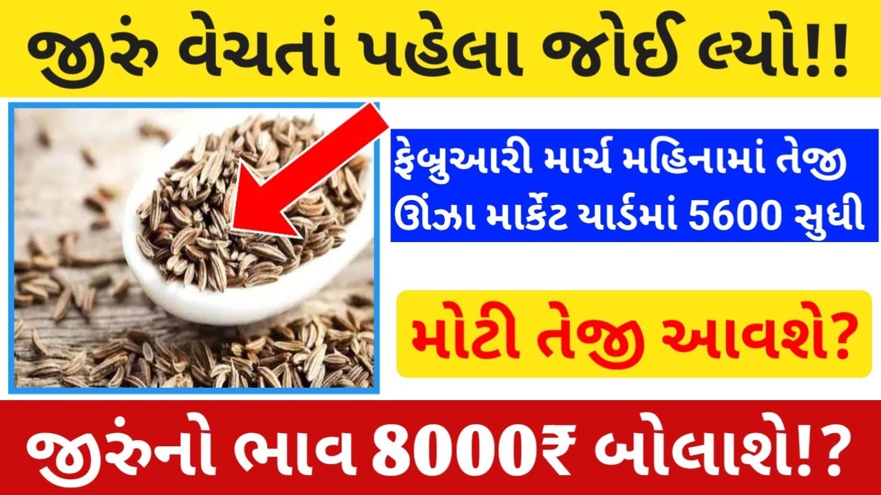 જીરુના ભાવમાં મોટો ઉછાળો, જીરુમાં થશે ખૂબ તેજી, જીરુના ભાવ, 8000₹ રેકોર્ડ બ્રેક ભાવ, 22-02-2026