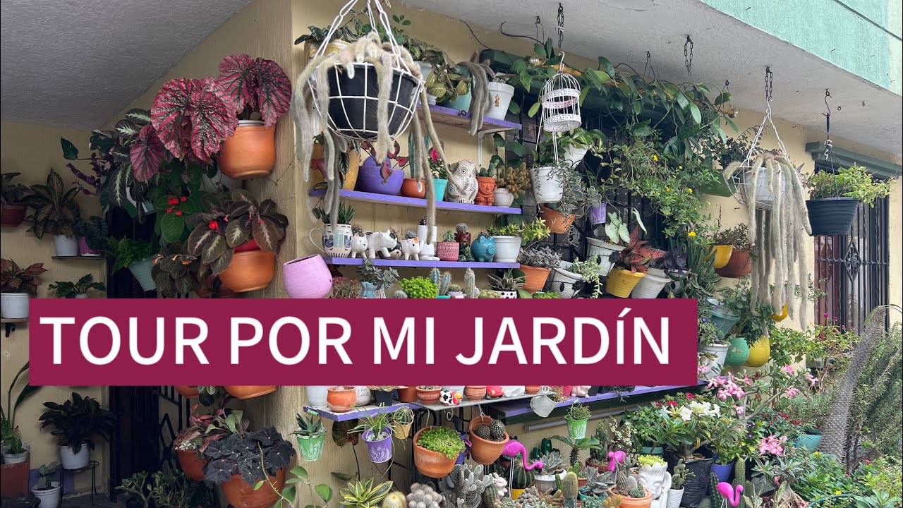 Tour Por Mi Jardincito