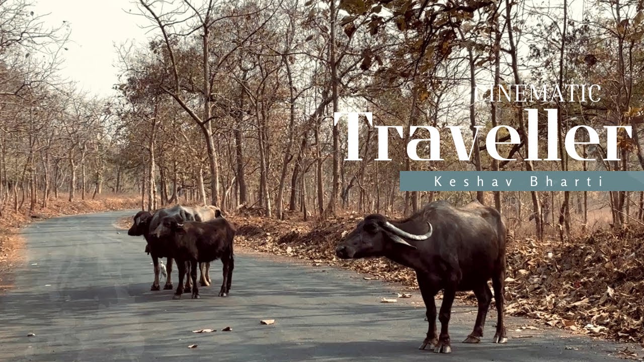 A Day In Omkareshwar Forest 🍂 | Ksv [ keshav ] vlogs 