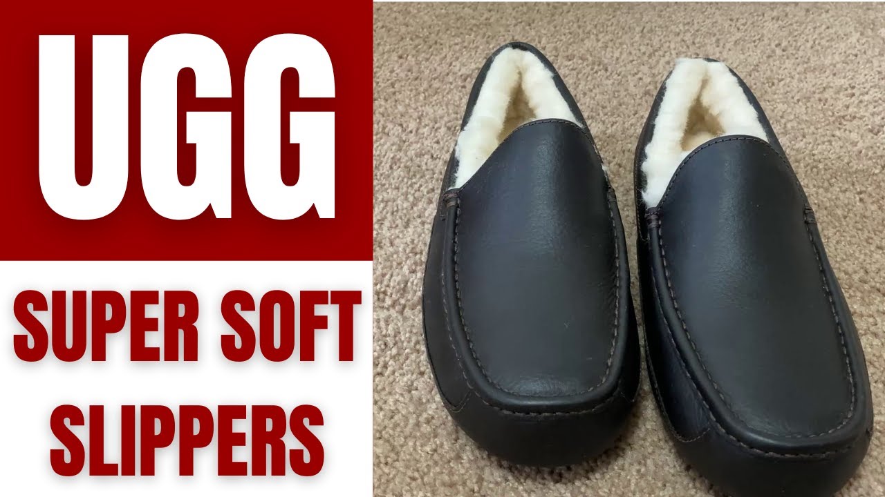 Мужские тапочки UGG Ascot