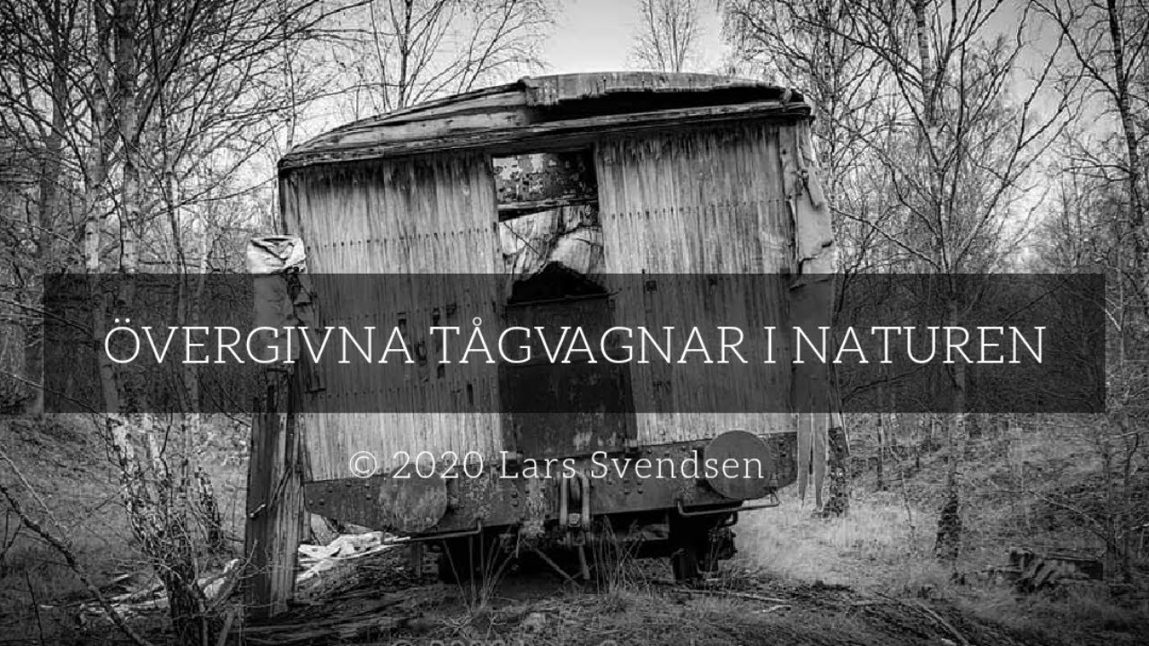 Övergivna tågvagnar i naturen.