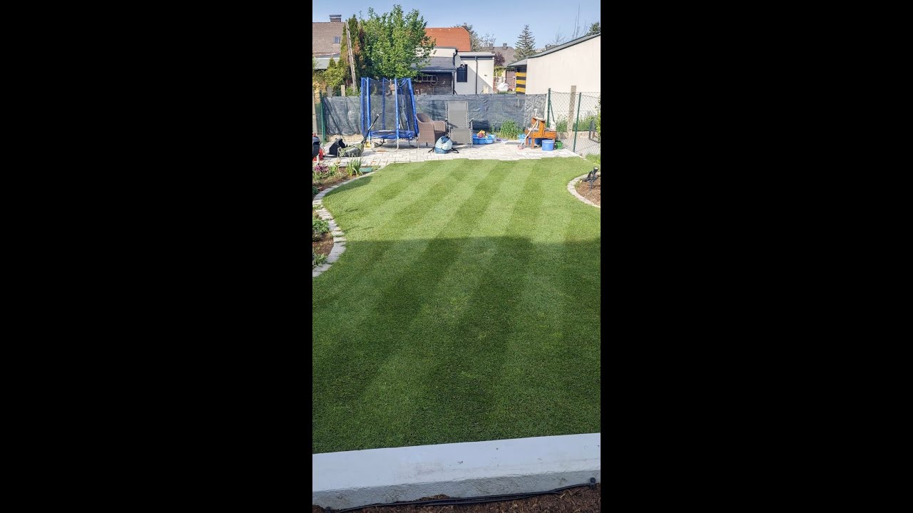 Poa annua bek&auml;mpfen: Meine Top-Tipps f&uuml;r einen gepflegten Rasen