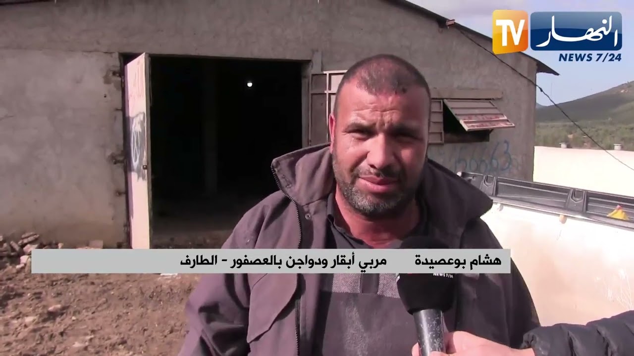 الطارف: هشام.. مربي أبقار ودواجن من حلم صغير إلى حقيقة على أرض الواقع بالعصفور
