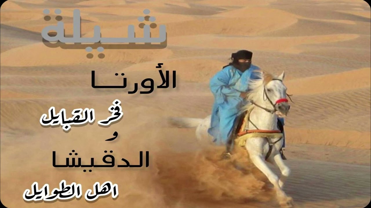 شيلة الأورتا فخر القبايل - الدقيشا أهل الطوايل - تنفيذ لحن وقصيد