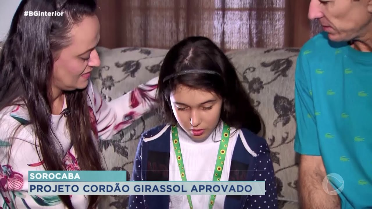 Câmara Municipal de Sorocaba aprova projeto de lei que cria o Cordão Girassol