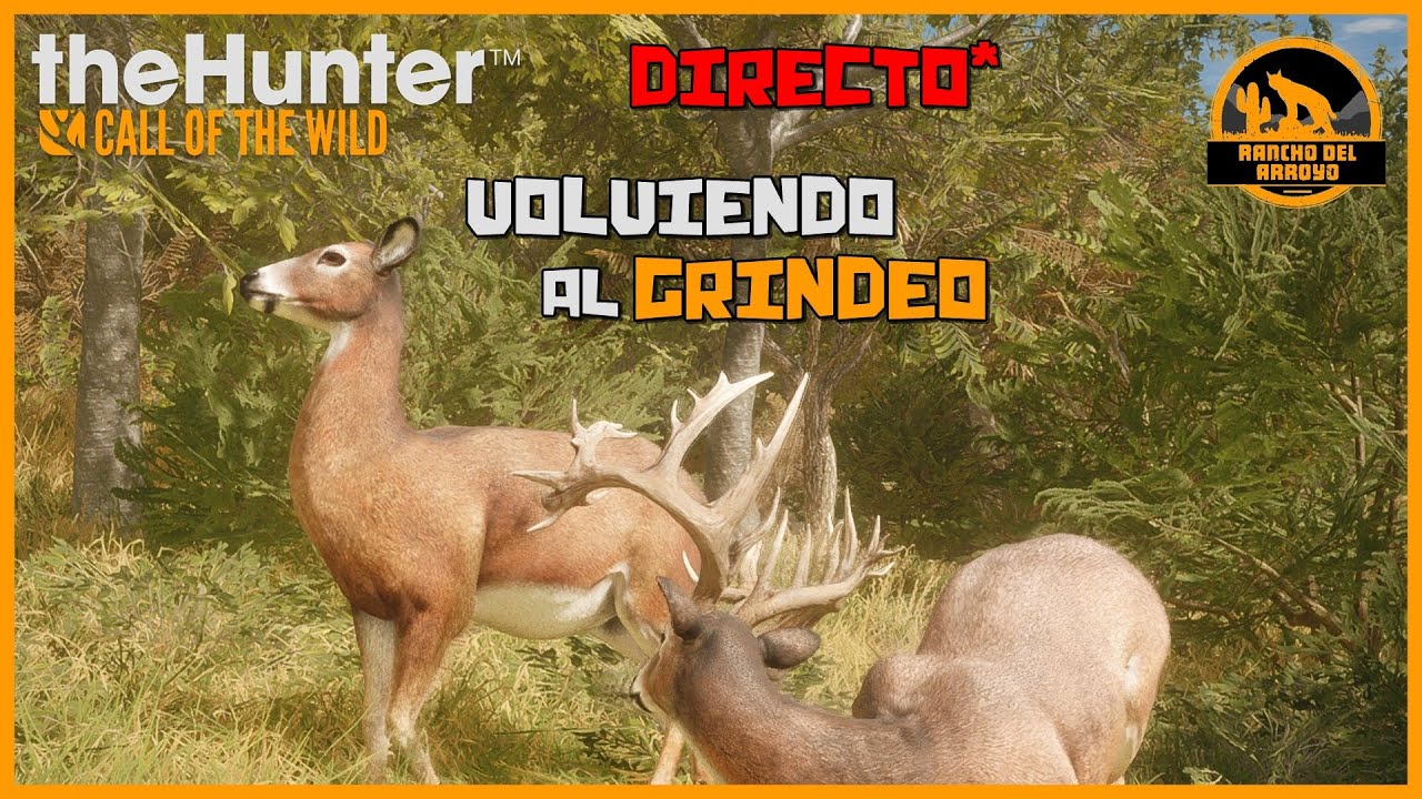 🦌theHunter: CotW | VOLVIENDO AL GRINDEO, PRACTICANDO DE NUEVO EL CIERVO DE COLA BLANCA | Español