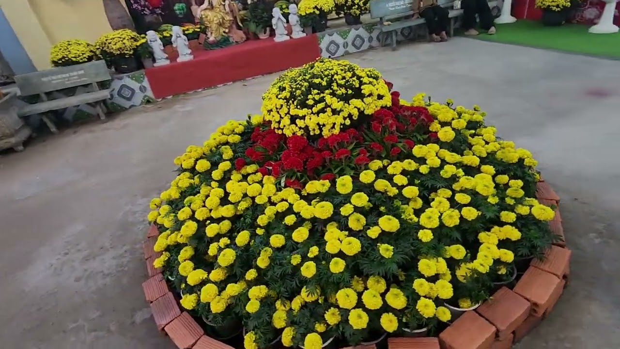 Chùa Giác Hải  đơn Dương _Lâm Đồng  01 Tết Bính Ngọ  