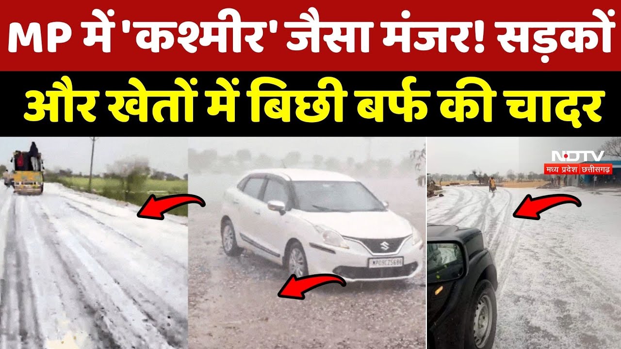 MP Weather News: MP में 'कश्मीर' जैसा मंजर! सड़कों और खेतों में बिछी बर्फ की चादर | Cold | Hailstorm