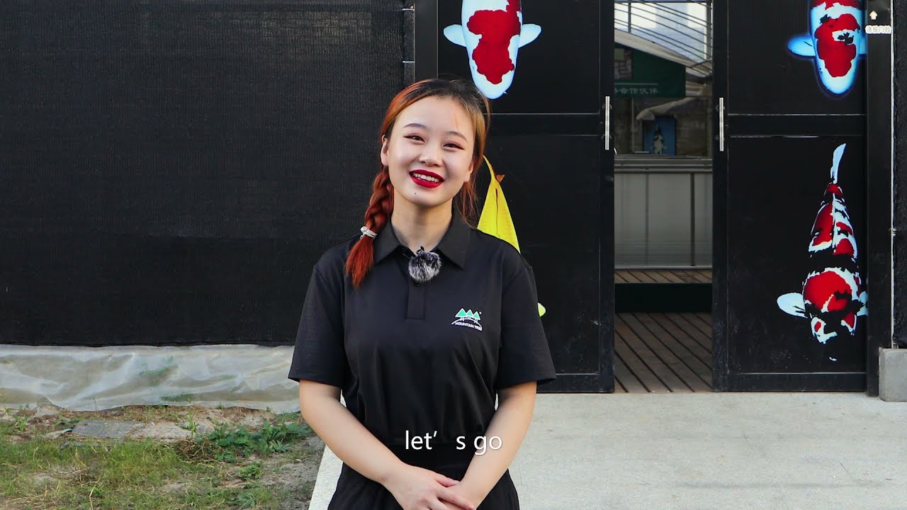 A Big and Beautiful China Koi Farm Where You Will Love Their Fish