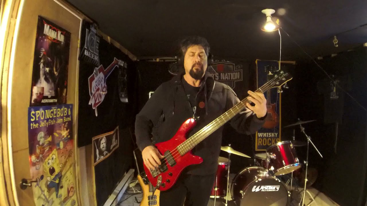 Slither - Velvet Revolver Bass Cover