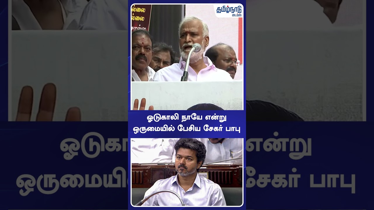 ஓடுகாலி நாயே என்று ஒருமையில் பேசிய சேகர் பாபு #dmk #tvk #cmvijay #sekarbabu