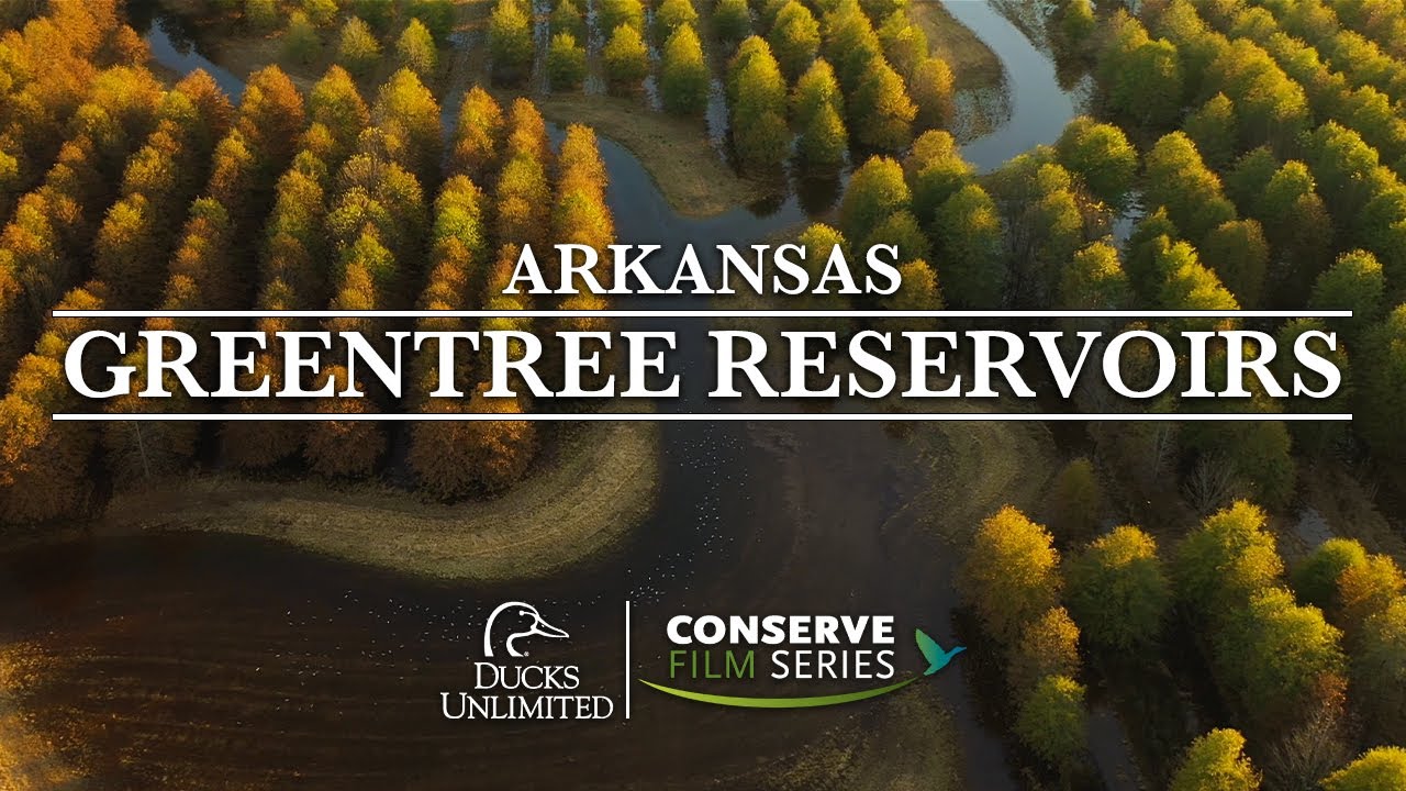 Greentree Reservoirs | DU Conserve