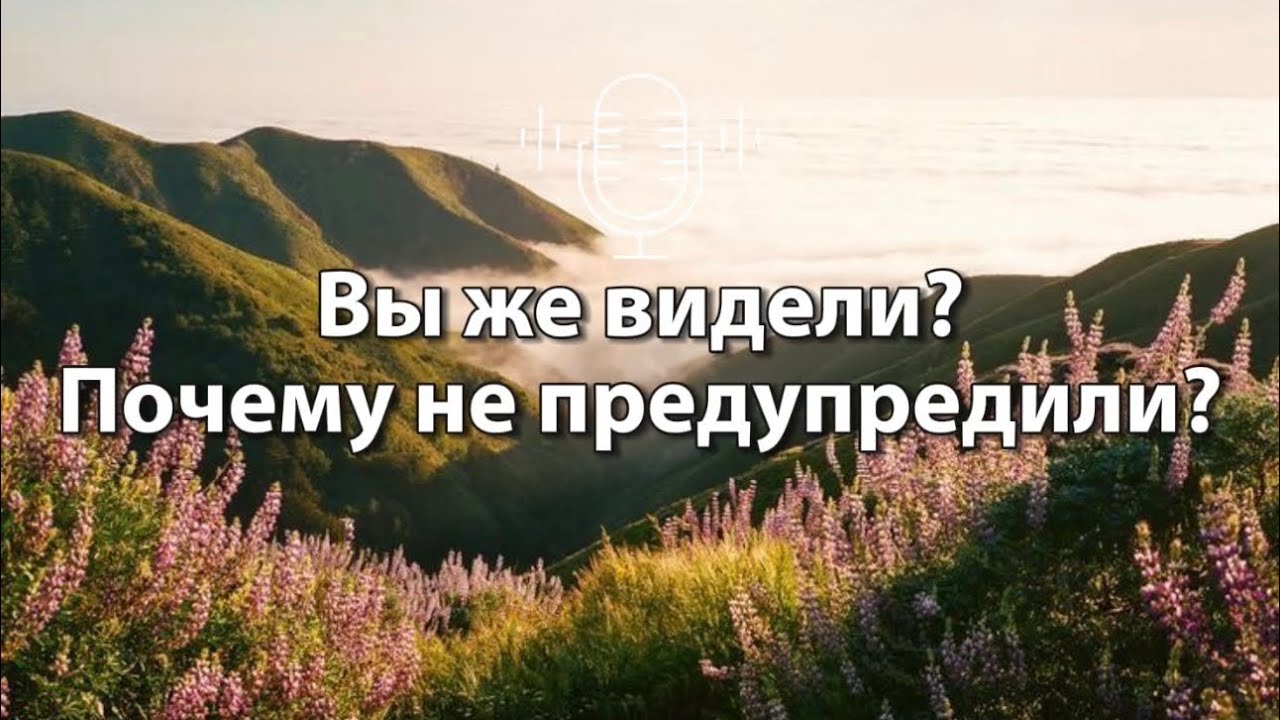 Вы же видели? Почему не предупредили?