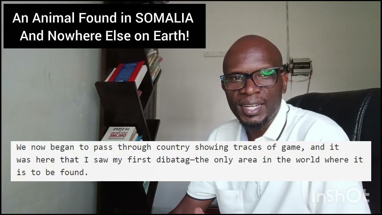 An Animal Found In SOMALIA And Nowhere Else on Earth!