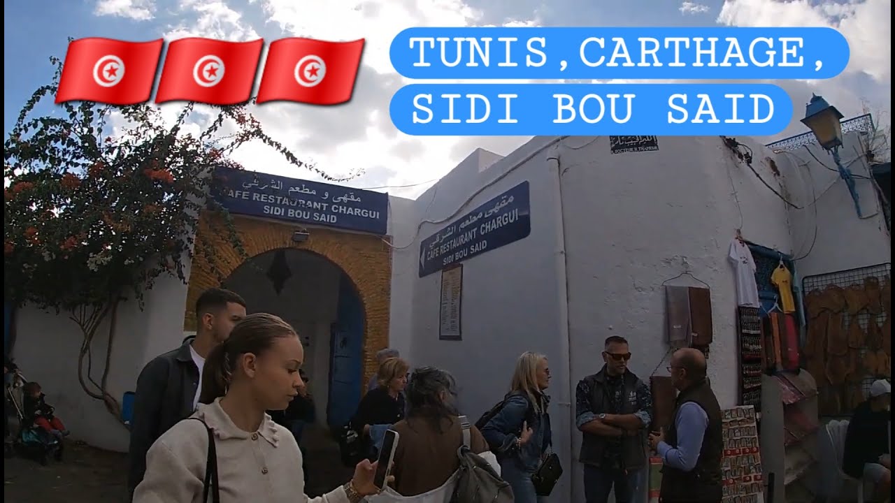 Half day Excursion 🇹🇳 Hammamet to Tunis I Carthage I Sidi Bou Saidسيدي بو سع Private Taxi🚕  🐫🐪🌴🌵4K