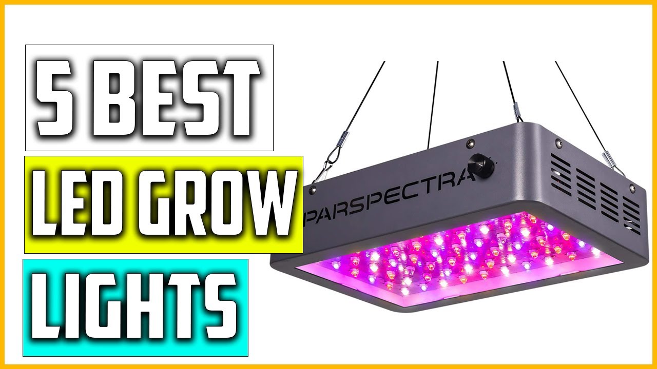 The 5 Best LED Grow Lights 2022 Reviews