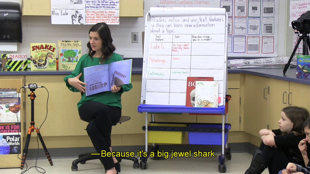 Responsive Literacy — Interactive Read Aloud — With Megan Witucky
