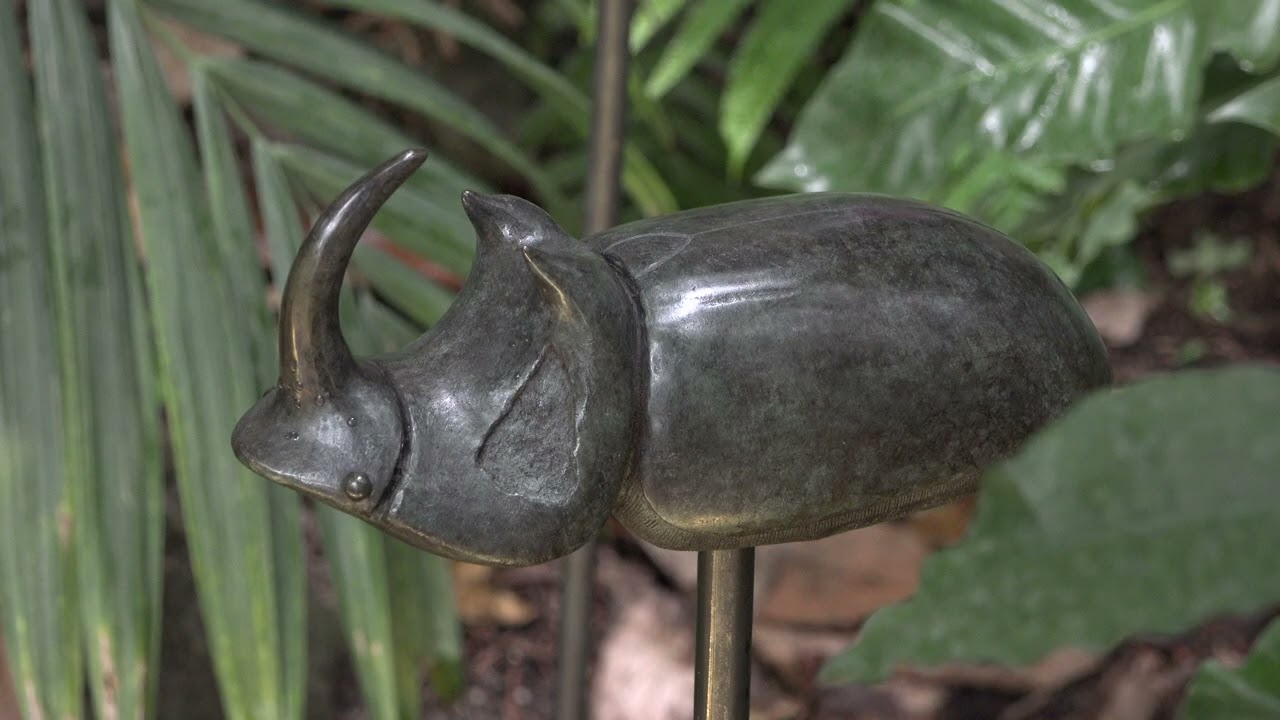 Des sculptures dans les serres du jardin des plantes à Paris