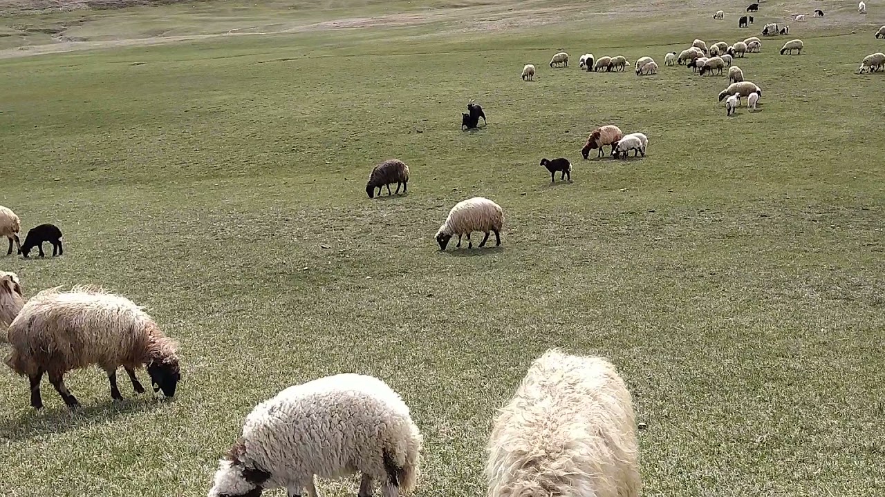 Van Başkale aşalan köyü(1)