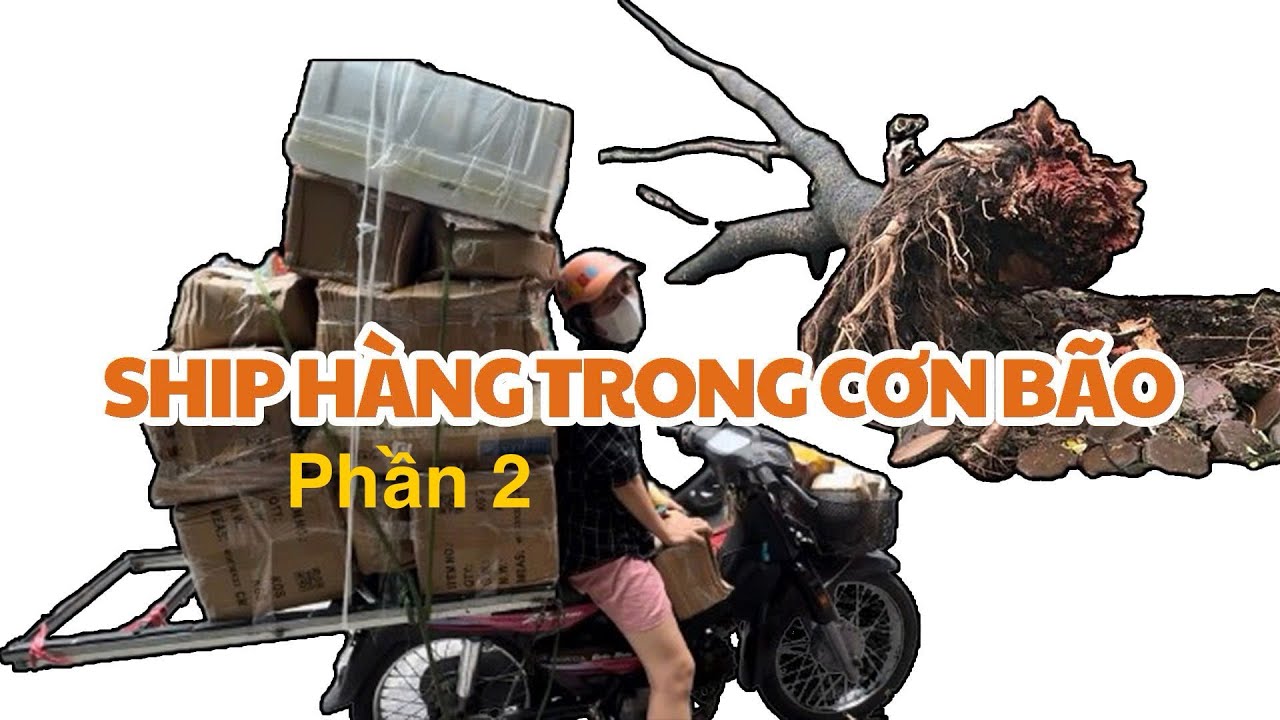 Giao hàng trong cơn bão phần 2 - Hàng hoàn về vỡ nát ? #ocmuonhonthanhxuan  #ocmuonhon #animals