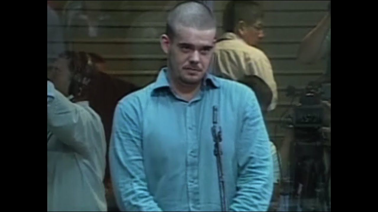 Van der Sloot pleads guilty, is 