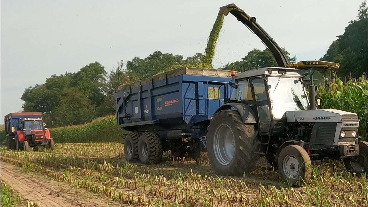 ☆Kukurydza 2021☆ 🌽  GR Kowarz & Majchrzycki |5X New Holland | Fendt | Ursus | Zetor |