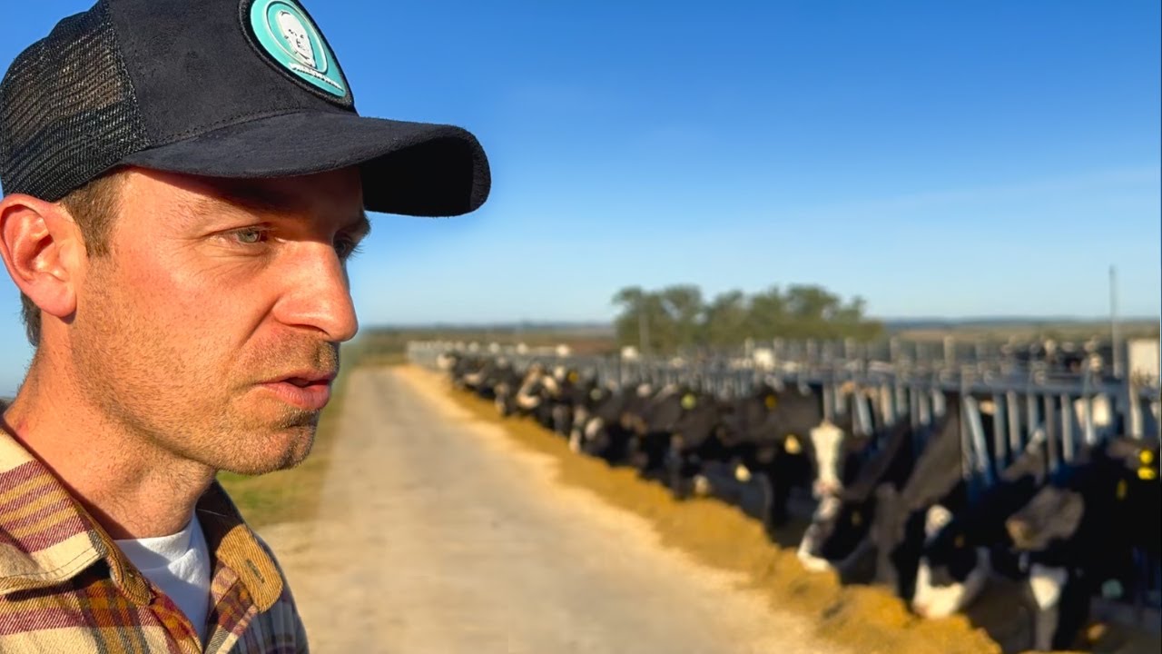 320 Vacas en Ordeño en Sistema Carrusel con Producción de 27.5 Litros por Vaca Día EN URUGUAY 🇺🇾