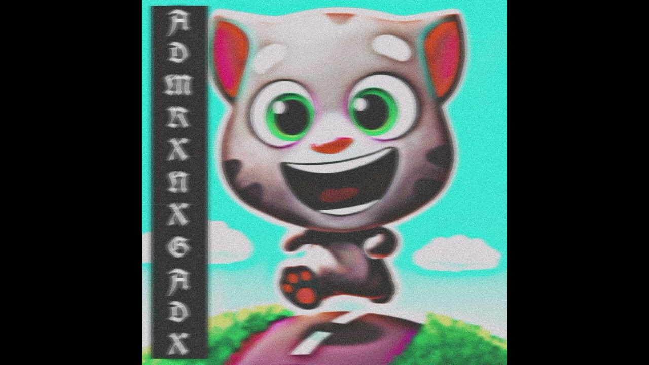 Talking Tom Gold Run Phonk