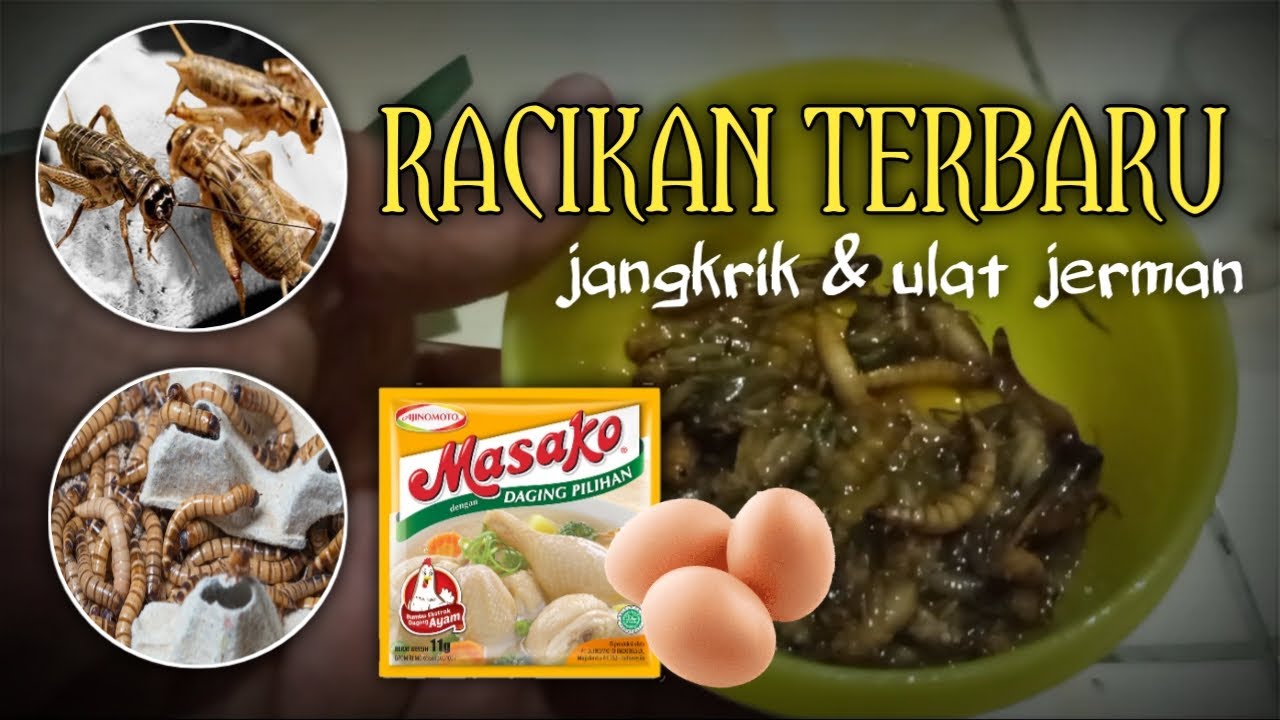 RACIKAN JANGKRIK & ULAT JERMAN PALING  PRAKTIS ‼️ UMPAN JITU MANCING LELE