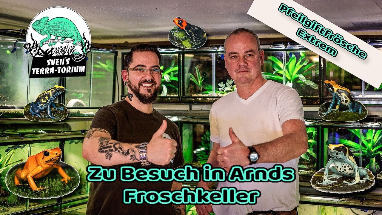Pfeilgiftfrösche Extrem ! Zu Besuch in Arnds Froschkeller Dendrobates tinctorius